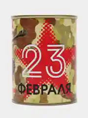 Зеленый копилка для денег 23 февраля, 8 марта, Танки