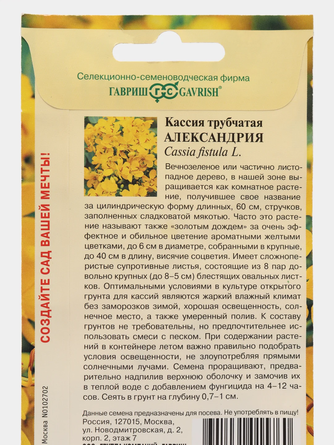 Семена цветов Кассия трубчатая Александрия