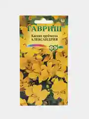 Семена цветов Кассия трубчатая Александрия