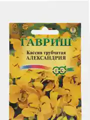 Семена цветов Кассия трубчатая Александрия