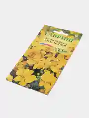 Семена цветов Кассия трубчатая Александрия