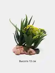 Пастельно-коралловый растение искусственное декоративное "Цветы", декорации для аквариума, 61 вид