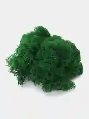 Зеленый стабилизированный мох ягель зеленый, 100 г