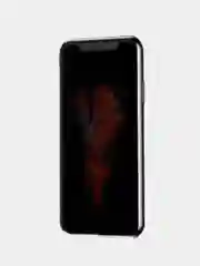 Защитное стекло-антишпион для iPhone 12, 12 Pro, Private