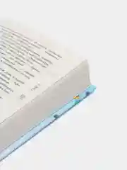 Мой идеальный смерч, Джейн А.