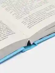 Мой идеальный смерч, Джейн А.