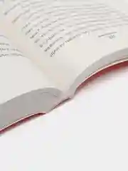 Дама из сугроба, Вильмонт Е.Н.