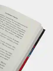 Книга Ларри Кинг. По правде говоря. Мемуары