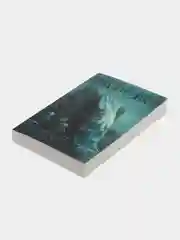 Книга "Купель дьявола", Виктория Платова, криминальный детектив
