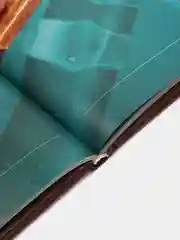 Книга Холодное оружие СССР. Энциклопедия оружия