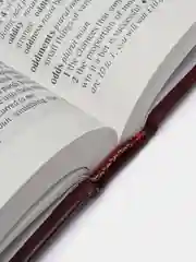 Книга Словарь оксфордского английского языка