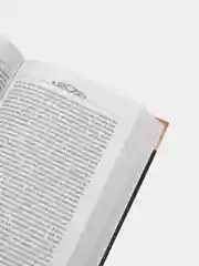 Книга Грядущая Россия. Ильин Иван Александрович. Отечественная философия