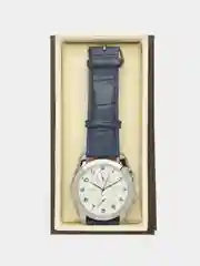 Серебряный мужские наручные часы Hannah Martin HM6301, в подарочной упаковке