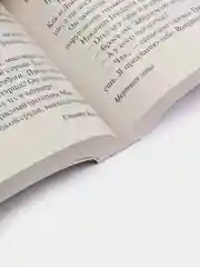 Мертвая зона, Кинг С.