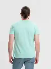 Салатовый футболка мужская