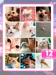 Наклейки "Котики и мемы", 12-36 штук