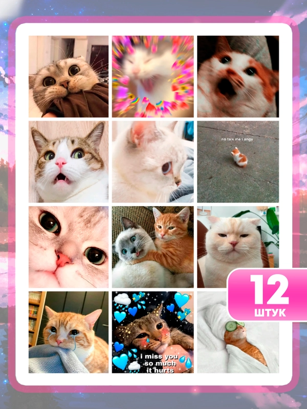 Наклейки "Котики и мемы", 12-36 штук