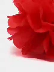 Красный помпоны из бумаги тишью для декора