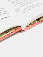 Золотой ключик, или Приключения Буратино. Рисунки Л. Владимирского, Толстой А.Н.