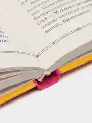 Книга Фэн шуй для молодых мам. Домоводство, саморазвитие для взрослых