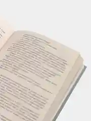 Книга Сыновья. Николай Чергинец, отечественный детектив