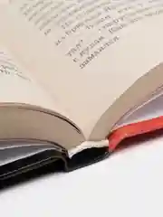 Кремлевский детектив. Василий блаженный, книга, автор Сергей Власов
