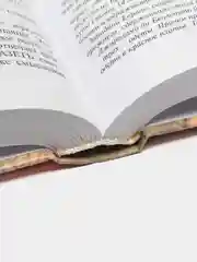 Книга Русские корни "древней" латыни. Языки и письменность Великой Империи