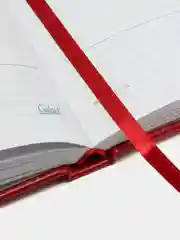 Ежедневник-планер, планинг, записная книжка, блокнот недатированный А5, 160 листов, 114465