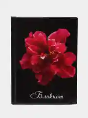 Блокнот, записная книжка, тетрадь для записей, рисования, А6, 80 листов, клетка, 127212