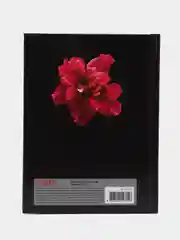 Блокнот, записная книжка, тетрадь для записей, рисования, А6, 80 листов, клетка, 127212