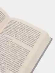 Книга Шаман. Охотник за планетами. Вадим Попов. Боевая отечественная фантастика