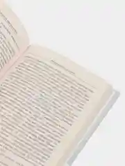 Книга Грушевские переулки миллионеров. Городские рассказы, Игорь Малевич. Проза