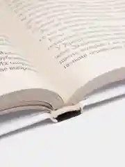 Книга Грушевские переулки миллионеров. Городские рассказы, Игорь Малевич. Проза
