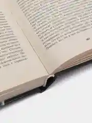 Книга "Иосип Броз Тито: Власть силы", Уэст Ричард, биография, военная история