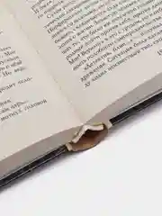 Книга Кесарь. Валерий Большаков. Историческая фантастика