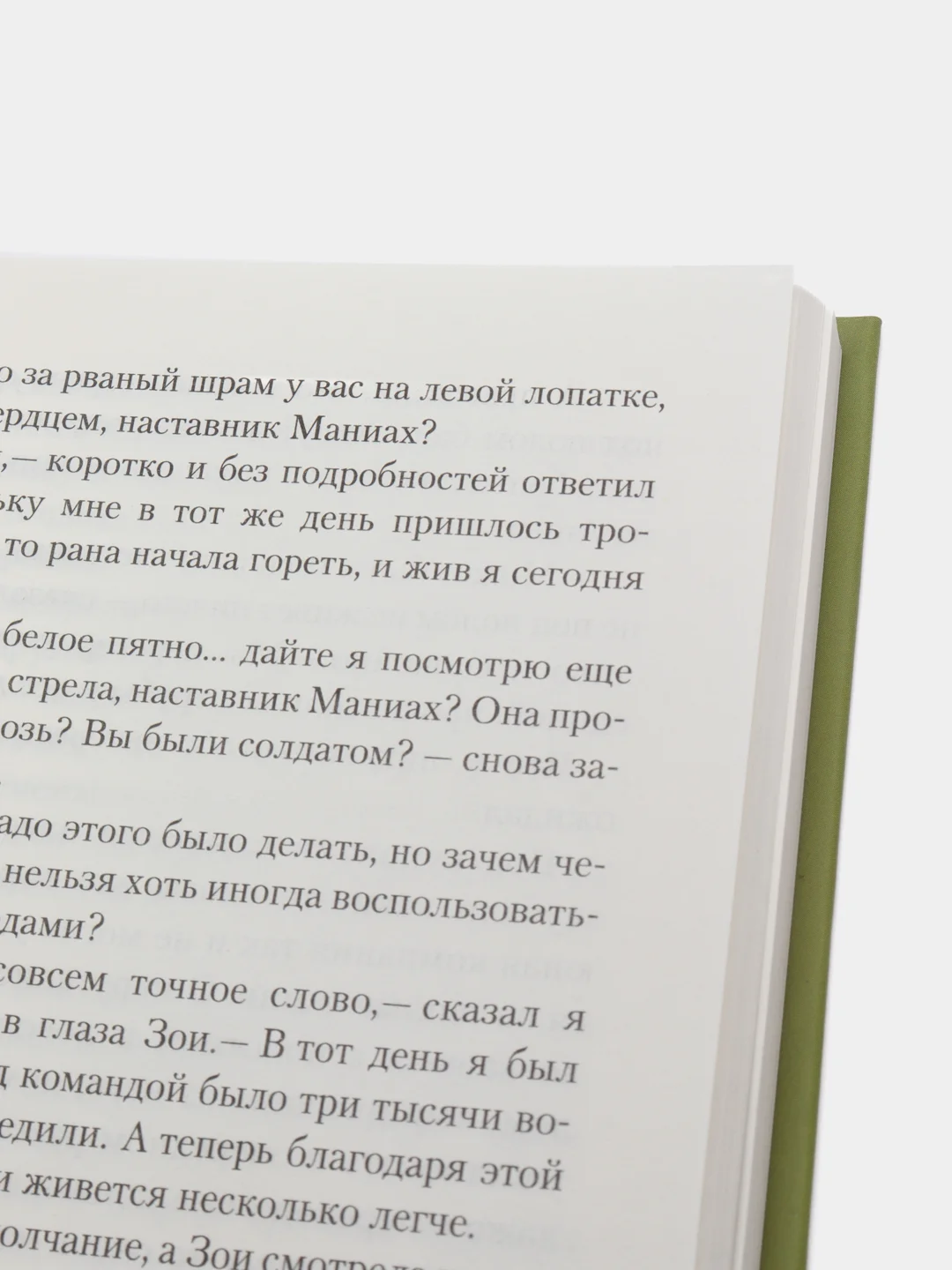 Книга "Любимый жеребенок дома Маниахов", Мастер Чэнь, приключения