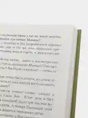 Книга "Любимый жеребенок дома Маниахов", Мастер Чэнь, приключения