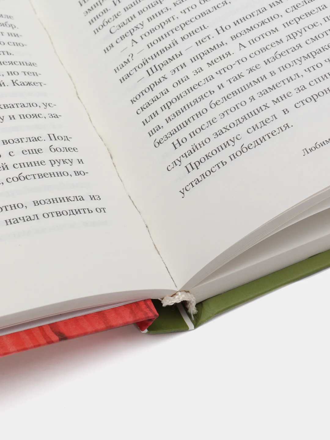 Книга "Любимый жеребенок дома Маниахов", Мастер Чэнь, приключения