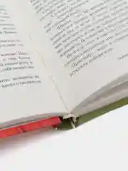 Книга "Любимый жеребенок дома Маниахов", Мастер Чэнь, приключения