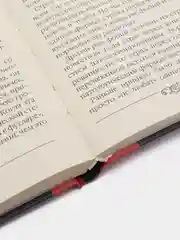 Книга Трагедия свободы, С.А. Левицкий. Русская религиозно-философская мысль