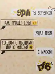 Коврик под миску нескользящий "Ура, ты вернулся", 43 х 28 см