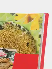 Книга "Смачно! Блюда украинской кухни", миллион меню, книга рецептов