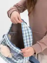 Голубой рюкзак для девочки, с игрушкой, с мишкой, в клетку, 30 см, голубой