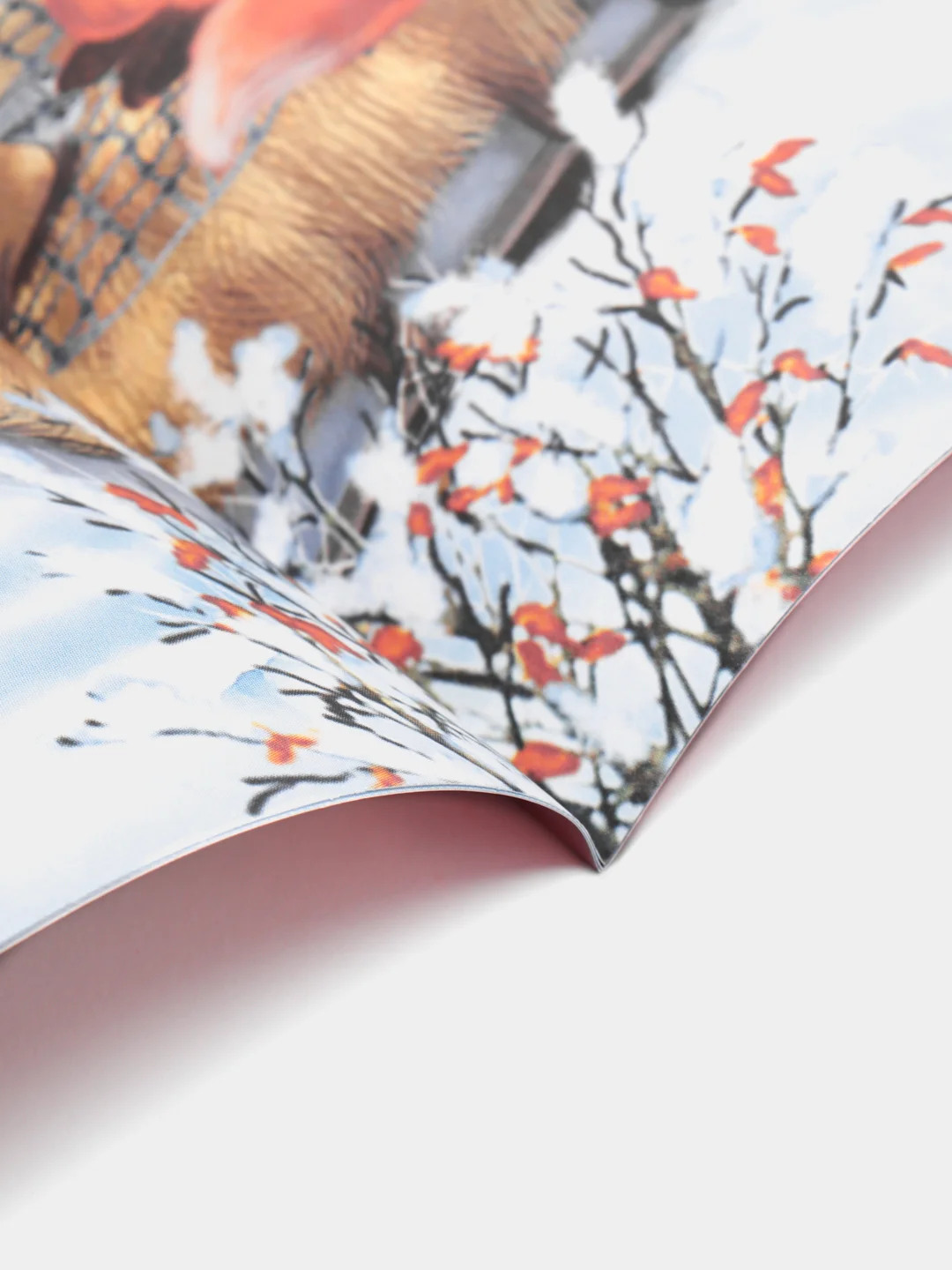 Вишнёвый книги для детей 5-7 лет, текст разделен по слогам, 16*22 см, 8 стр