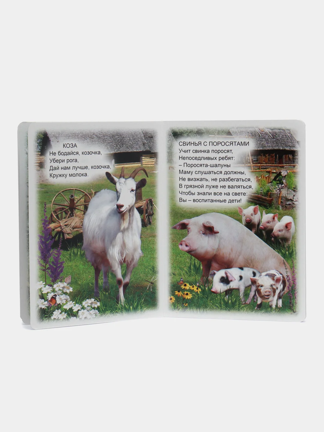 Алый книги на картоне для самых маленьких, 15*21,5 см, 8 стр