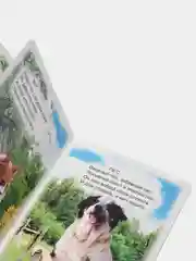 Алый книги на картоне для самых маленьких, 15*21,5 см, 8 стр
