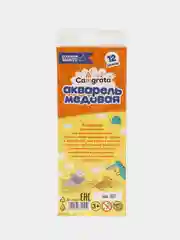 Акварель 12 цветов в картонном пенале, медовая, без кисти,