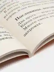 Быстрое обучение чтению. Читаем по слогам. Времена года. 1 класс, Узорова О.В.