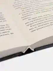 Тень и кость, Бардуго Л.