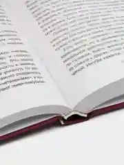 Ведическая нумерология. Кармический код судьбы, Стурите Б.